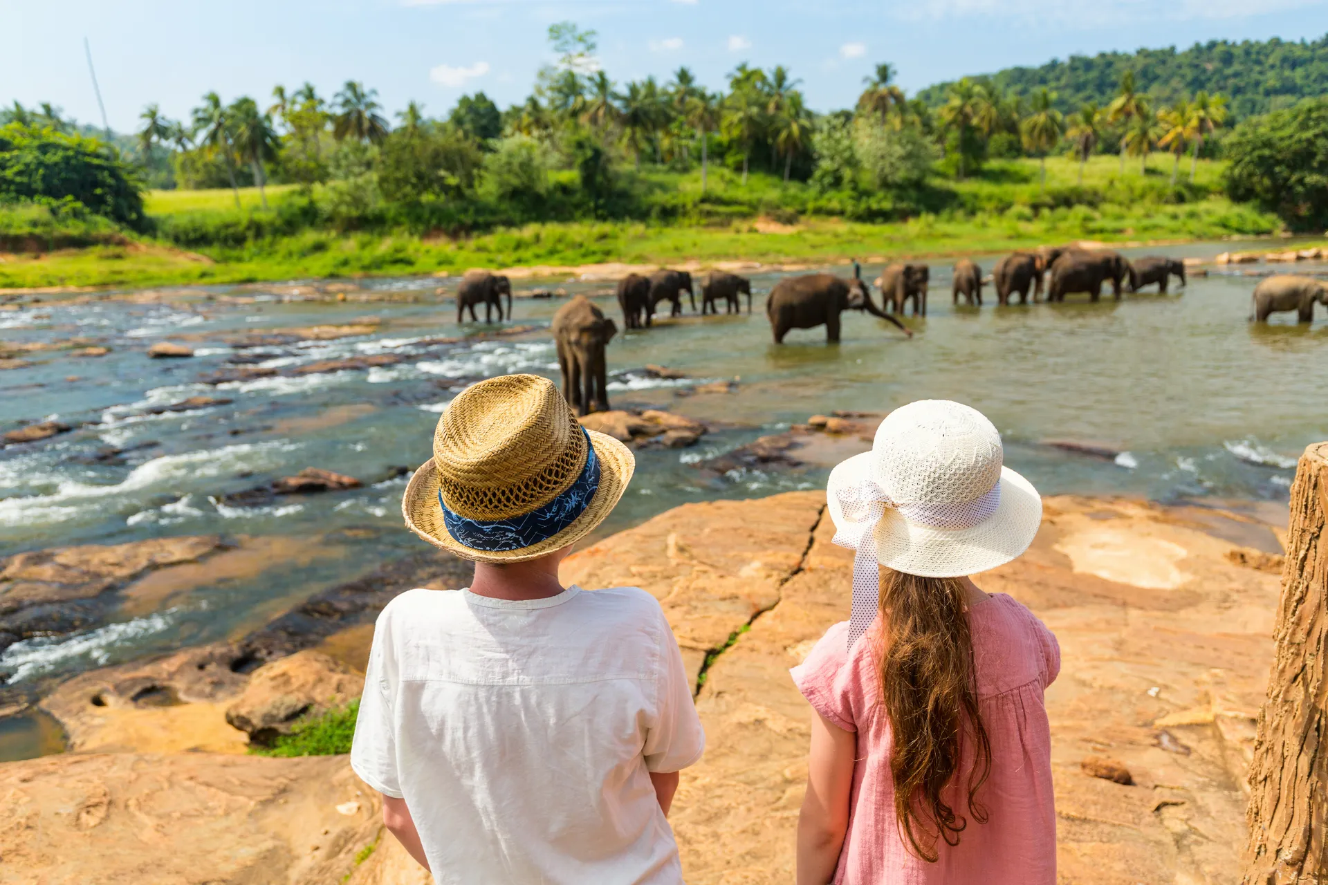 Scenic Sri Lanka landscape