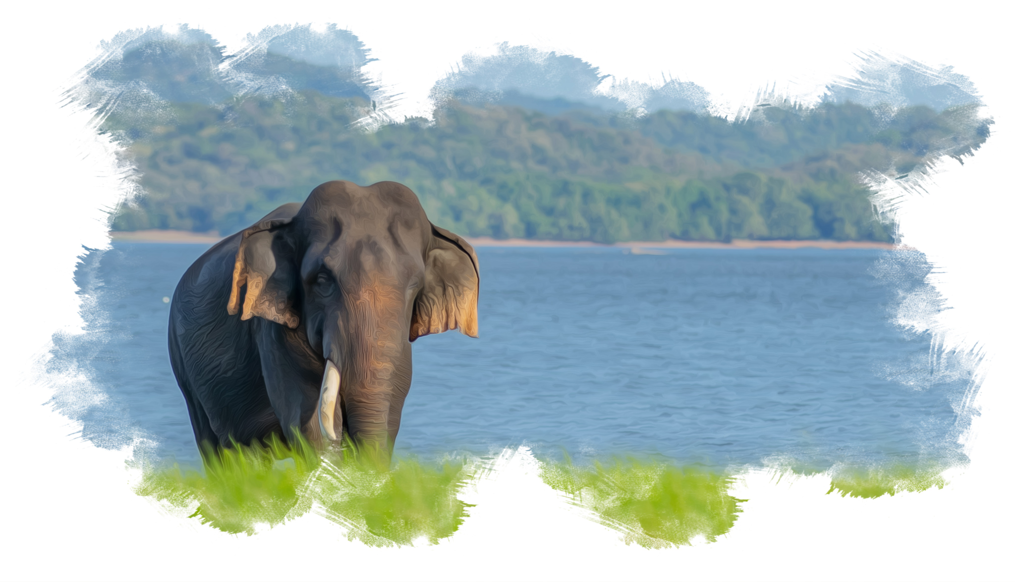 Sri Lanka beach holiday combining culture, a safari, and the coast