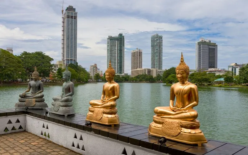 Short Sri Lanka private tour with culture, nature, and highlights